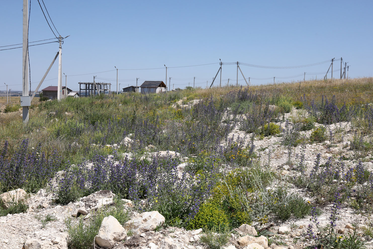 Марьино, image of landscape/habitat.