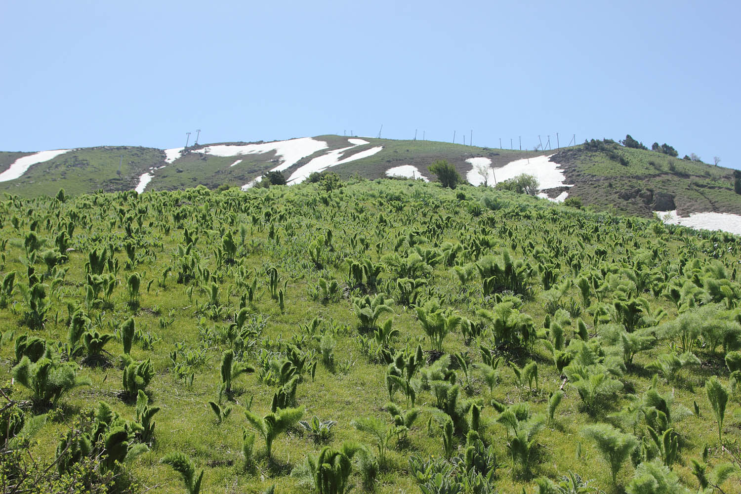 Верховье Бельдерсая, image of landscape/habitat.