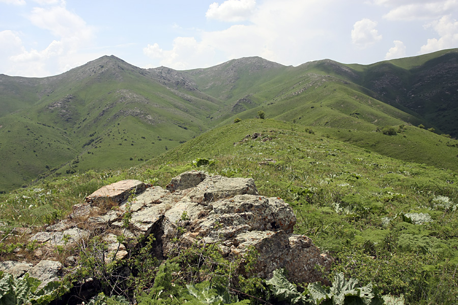 Боролдайтау - северный склон, image of landscape/habitat.