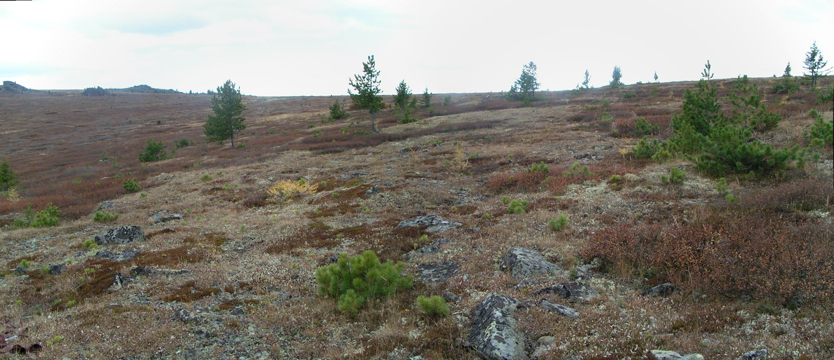 Урочище Обуток, image of landscape/habitat.