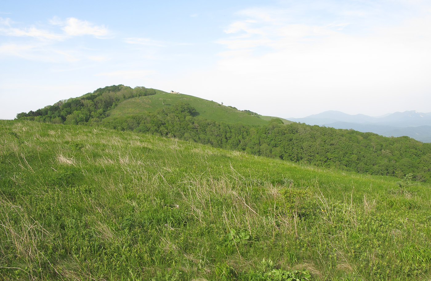 Мемедо, image of landscape/habitat.