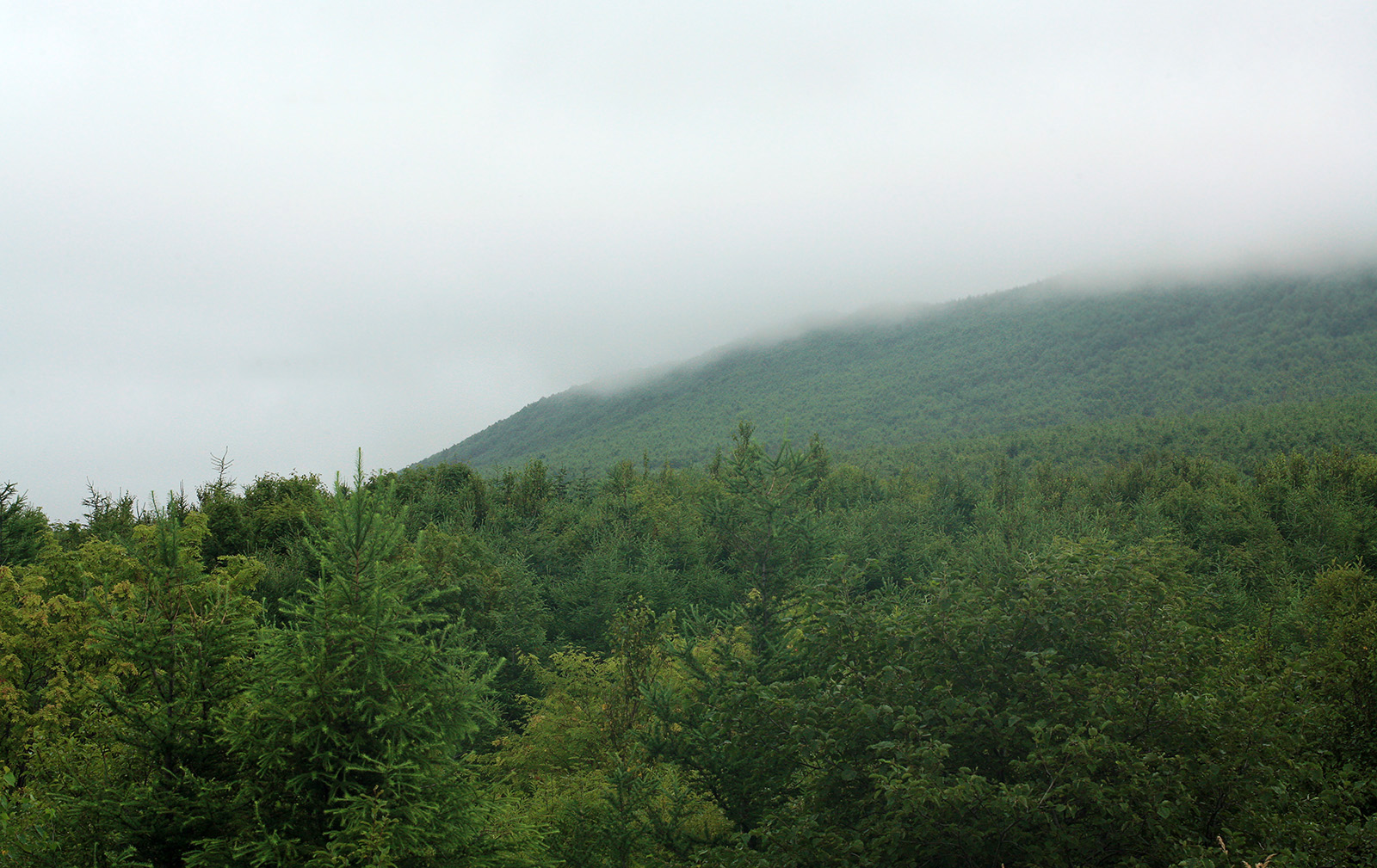 Неводское, image of landscape/habitat.