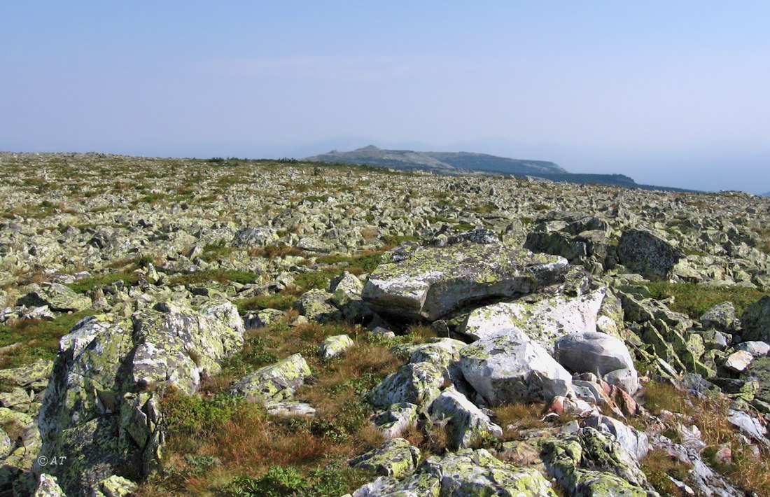 Зигальга, image of landscape/habitat.