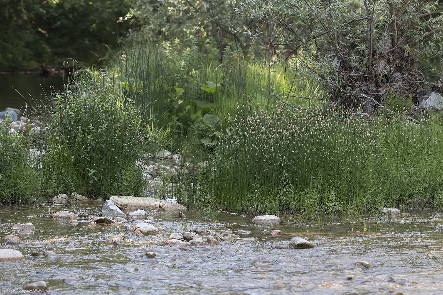 Куйбышево и окрестности, image of landscape/habitat.