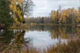 Гатчинские парки, image of landscape/habitat.