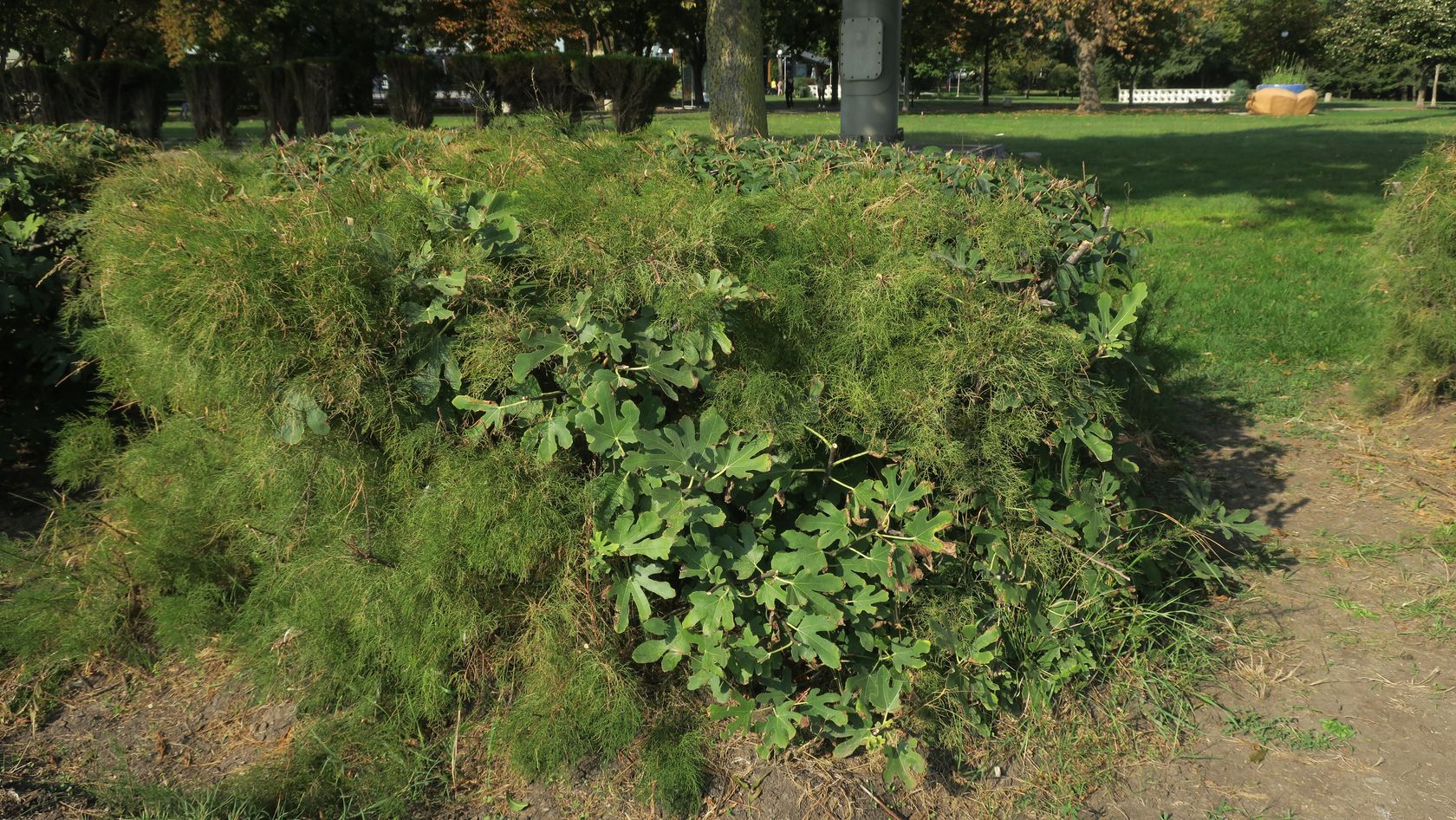 Бургас, image of landscape/habitat.