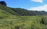 Image of landscape