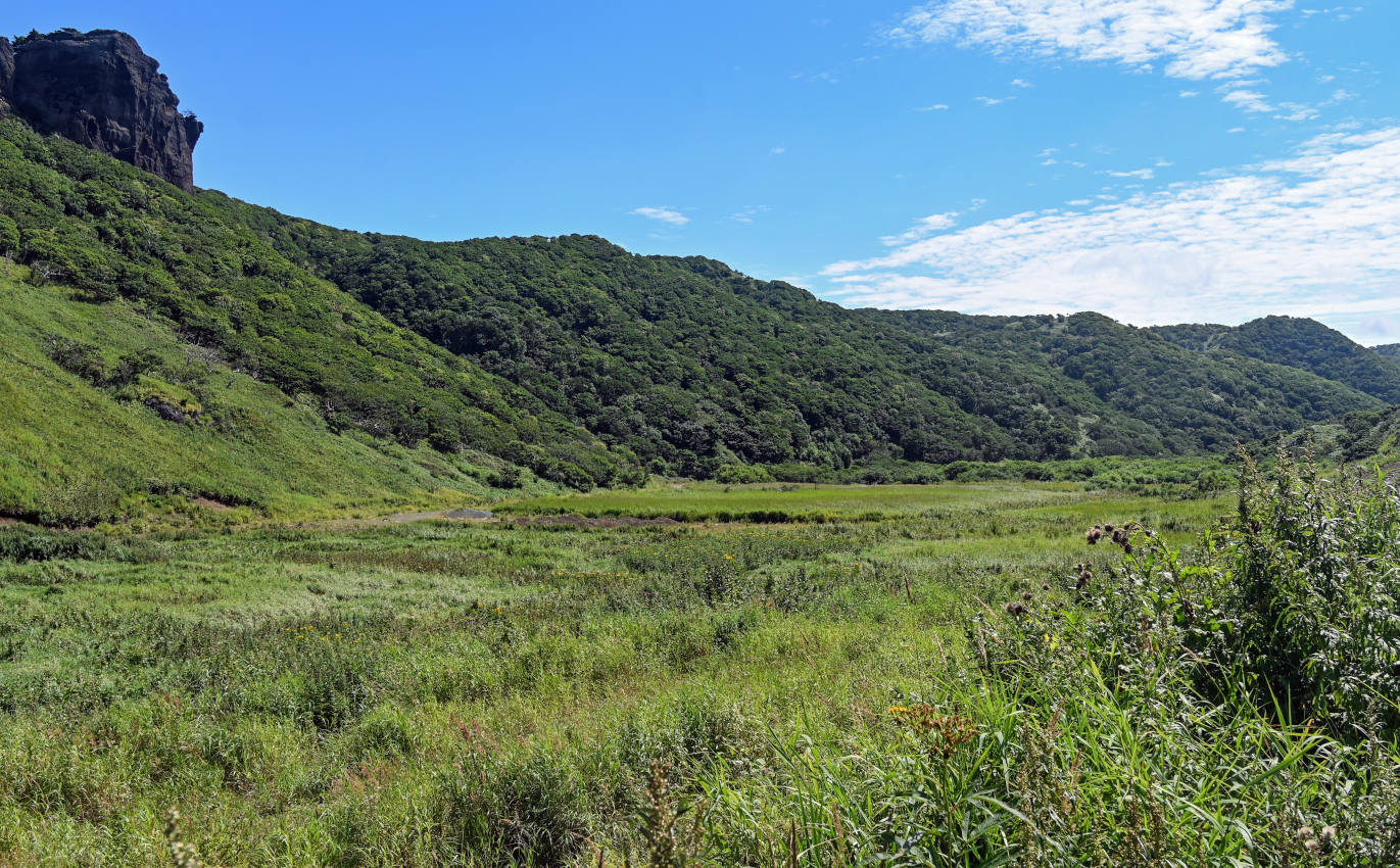 Долина реки Сторожевая, изображение ландшафта.