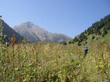 Image of landscape