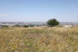 Image of landscape