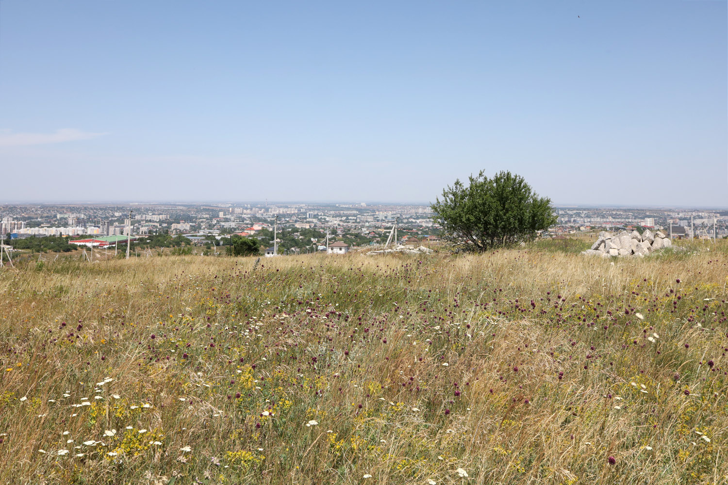 Марьино, image of landscape/habitat.