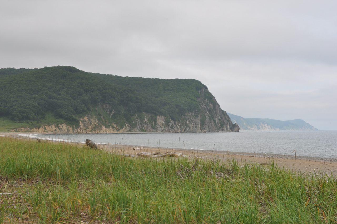 Бухта Русская, image of landscape/habitat.