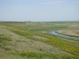 Image of landscape