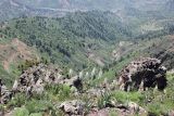Image of landscape