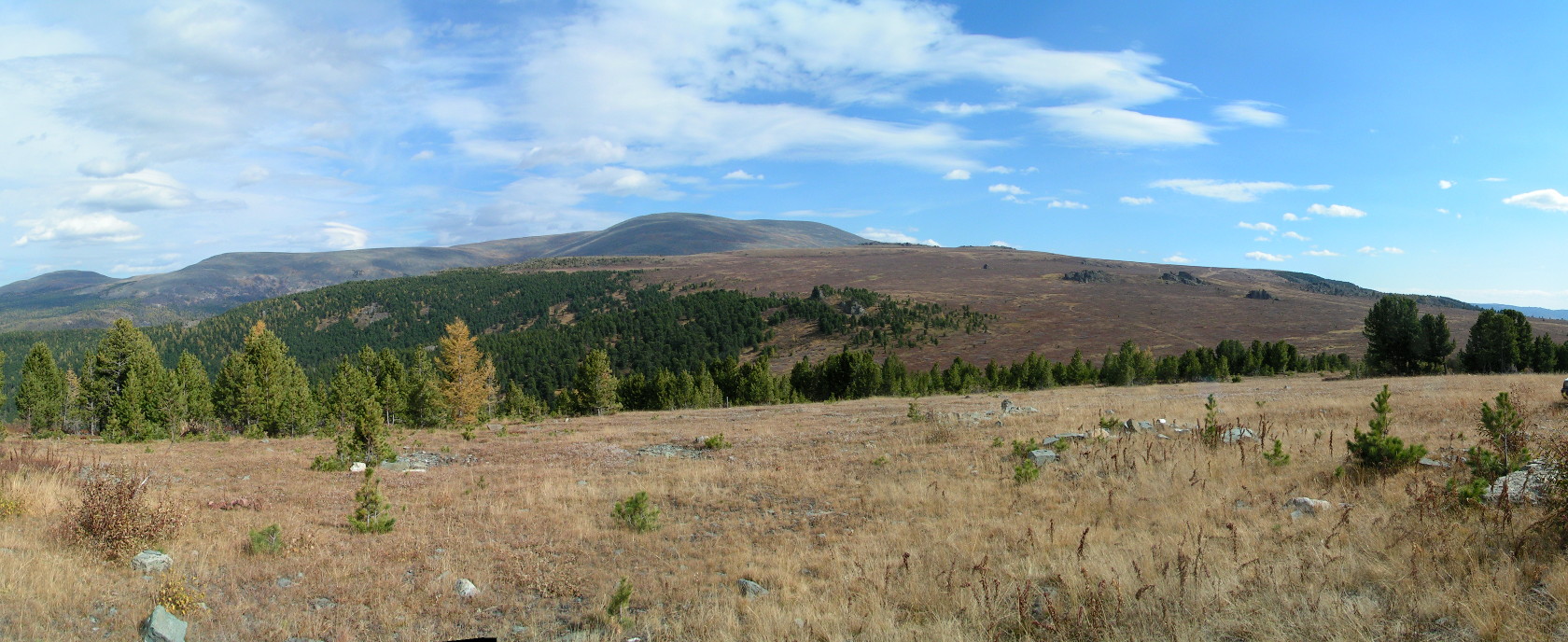 Урочище Обуток, image of landscape/habitat.