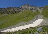 Landscape image