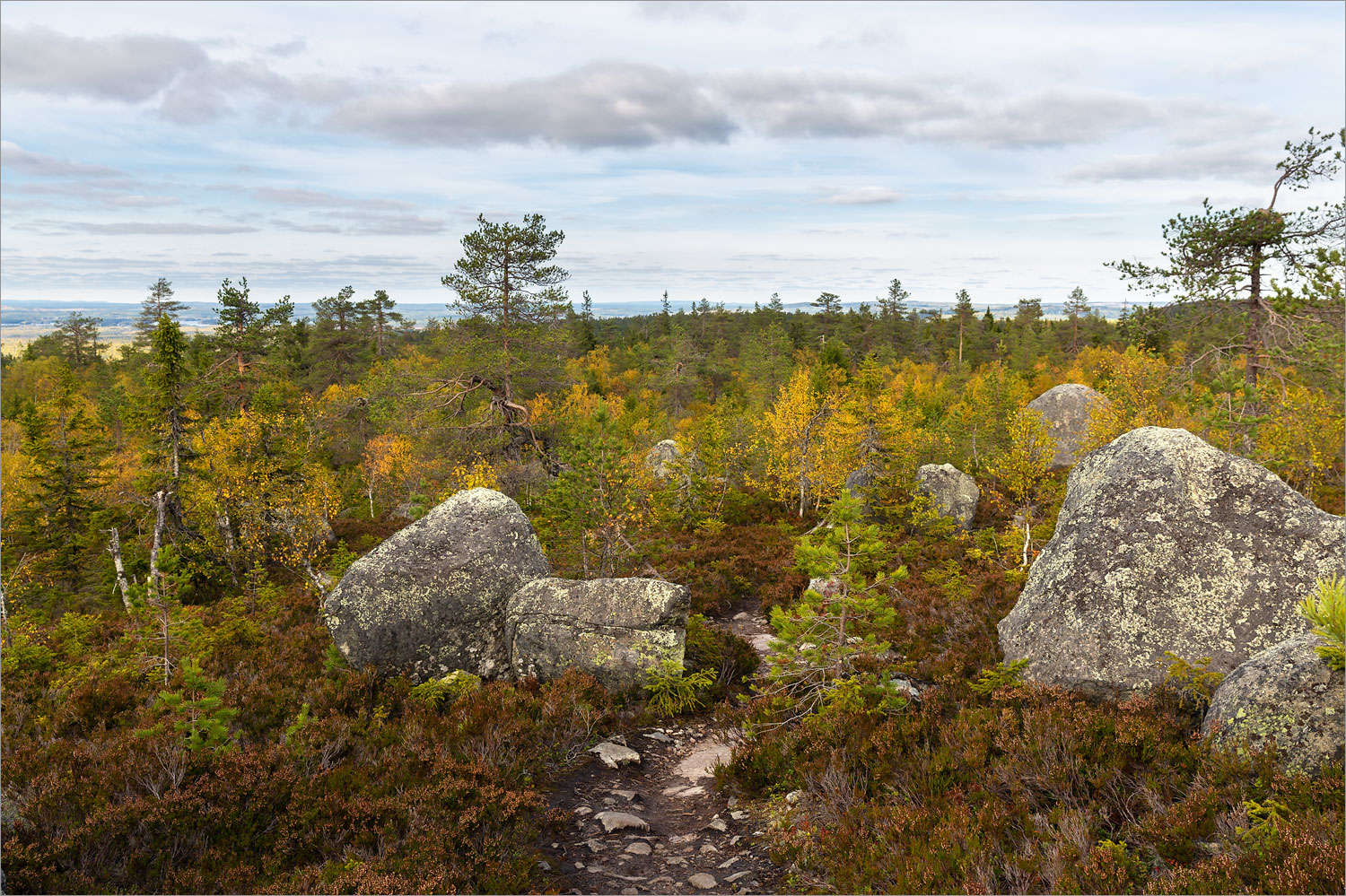 Воттоваара, image of landscape/habitat.