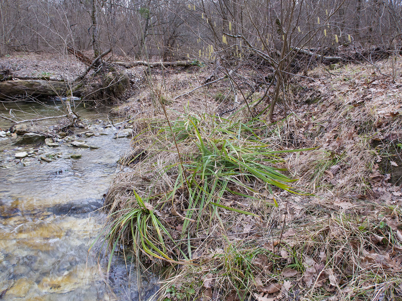 Глубокий Яр, image of landscape/habitat.