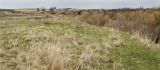 Окрестности Подгорного, image of landscape/habitat.