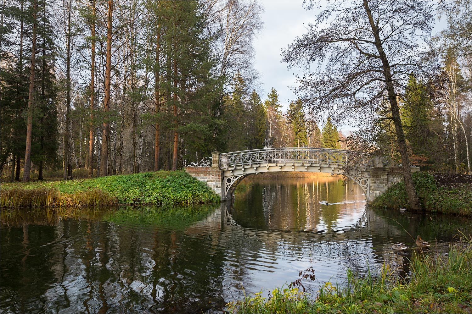 Гатчинские парки, image of landscape/habitat.