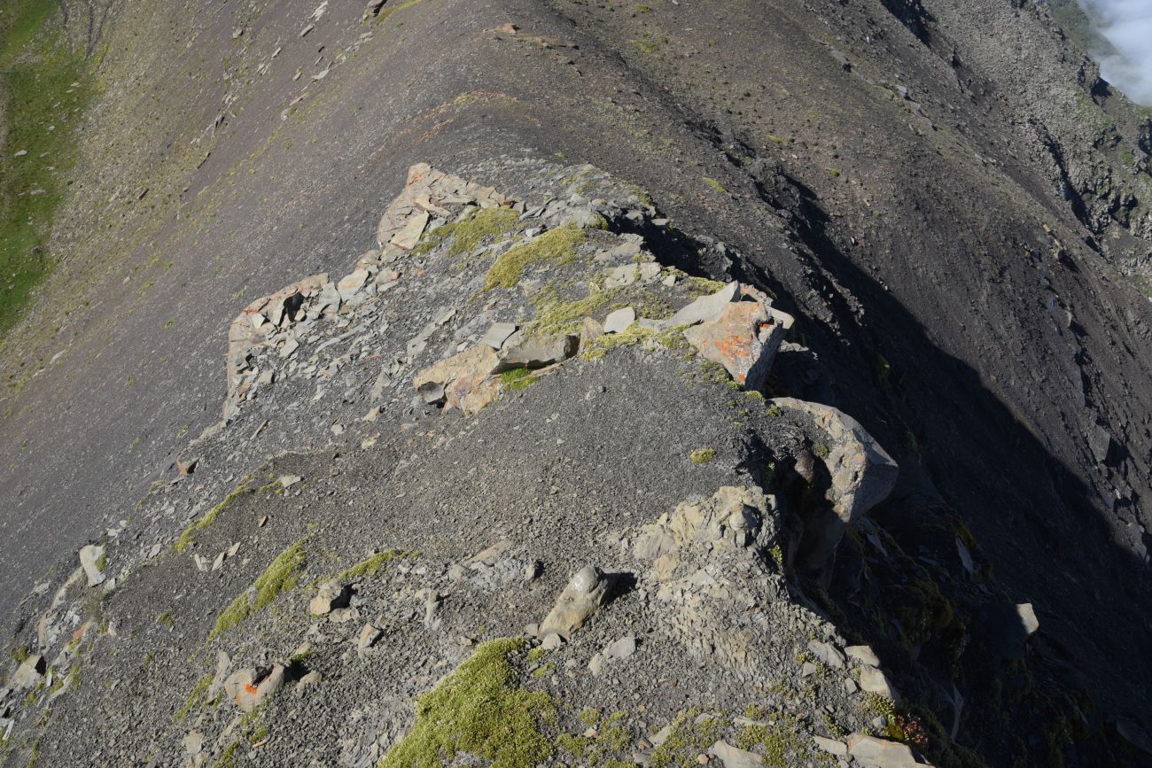1 км от вершины горы Заинкорт, image of landscape/habitat.