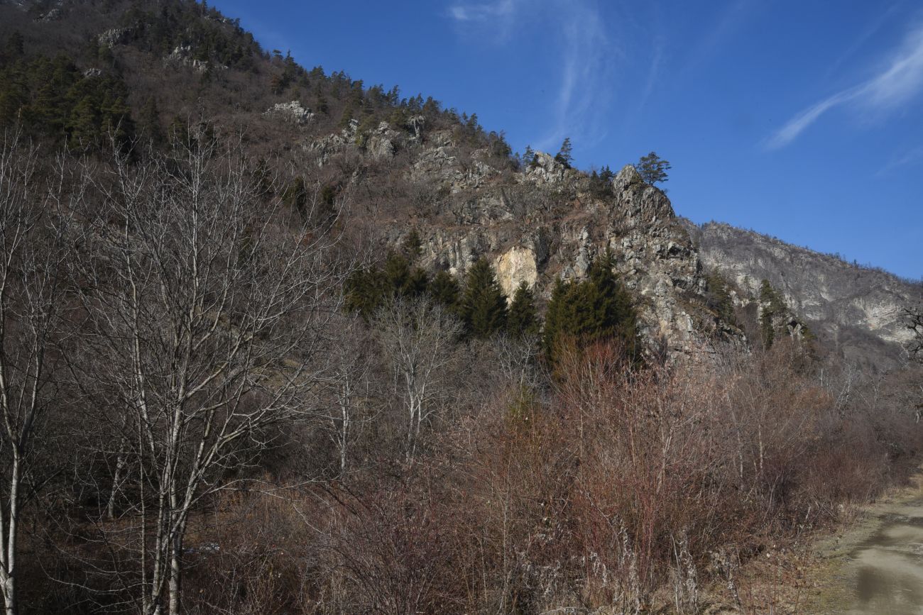 Долина ручья Квабисхеви, image of landscape/habitat.