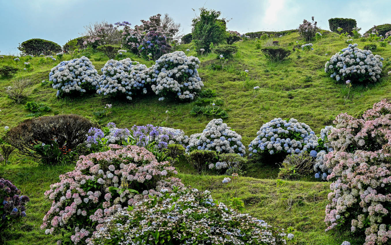 Фурнаш, image of landscape/habitat.