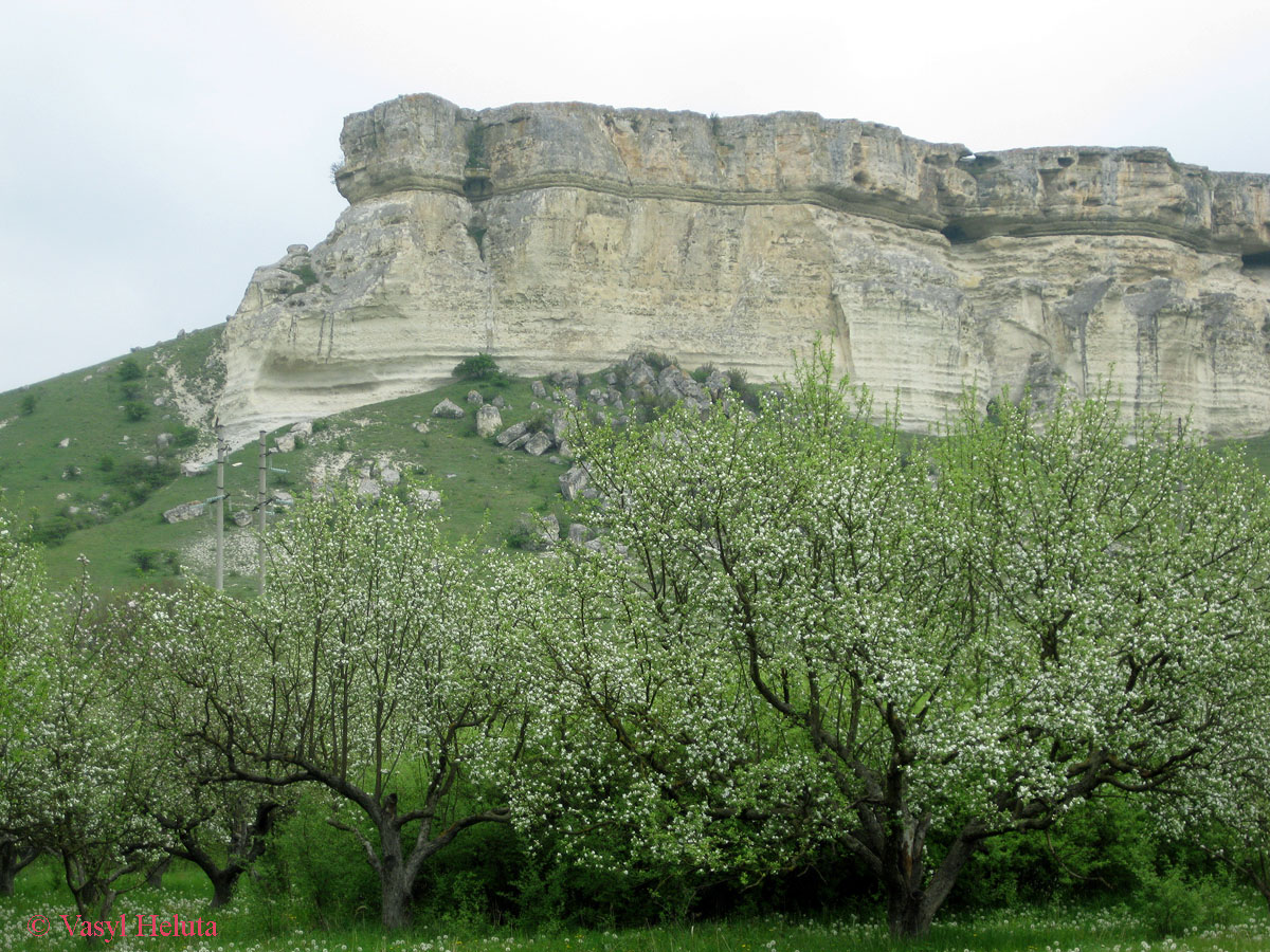 Ак-Кая, image of landscape/habitat.