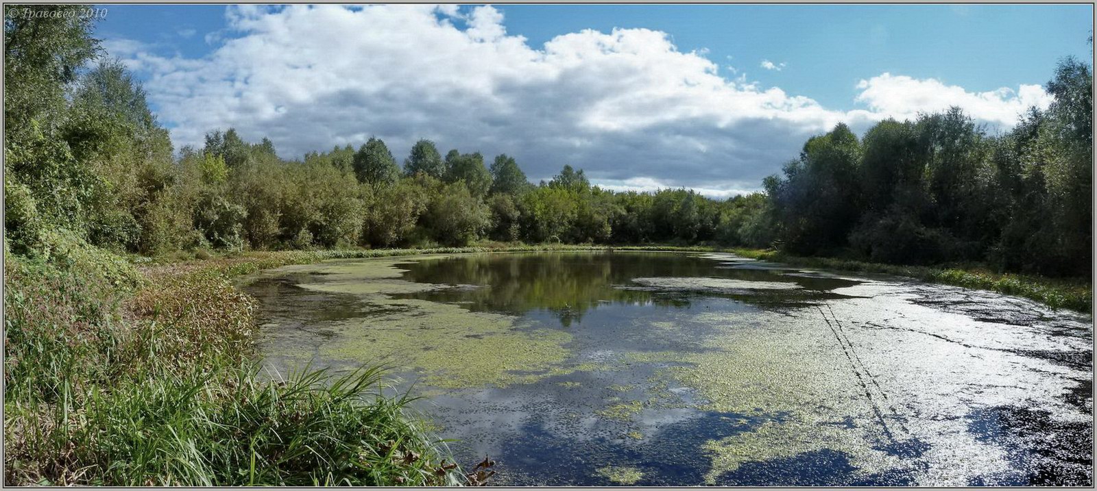 Сурский затон, image of landscape/habitat.