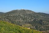 Elvas, image of landscape/habitat.