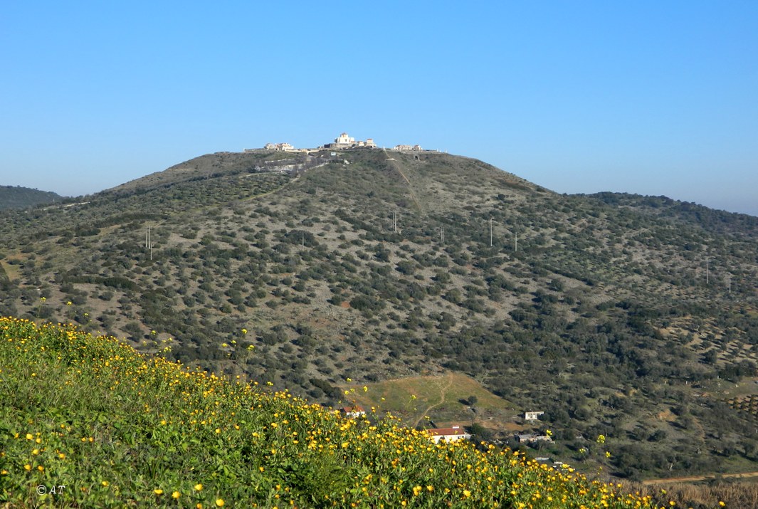Elvas, image of landscape/habitat.