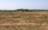 Таманский полуостров, image of landscape/habitat.