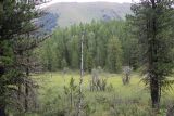 Image of landscape