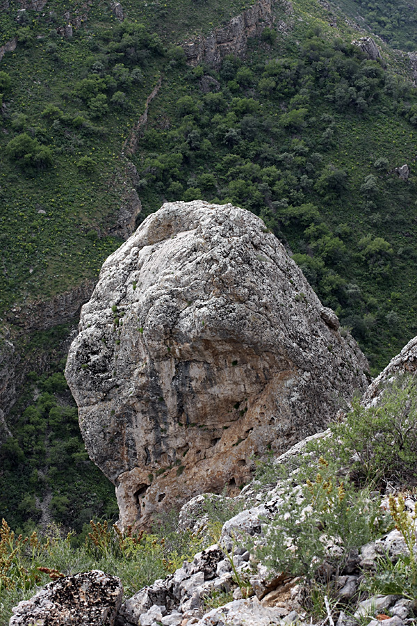 Каньон Даубаба, image of landscape/habitat.