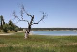 Image of landscape