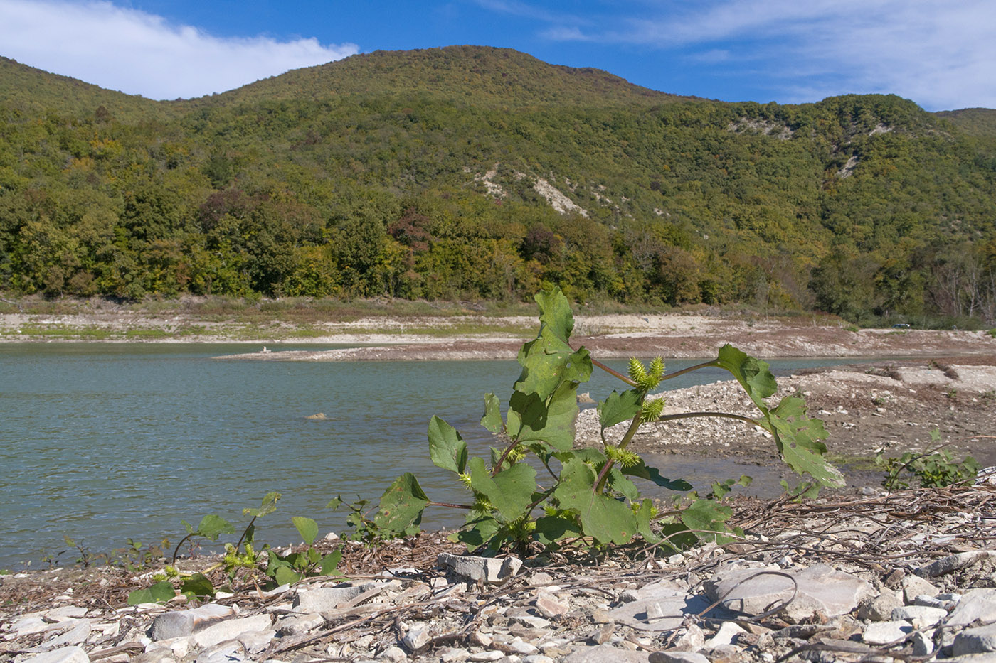 Щель Церковная, image of landscape/habitat.