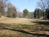 Image of landscape
