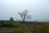 Image of landscape