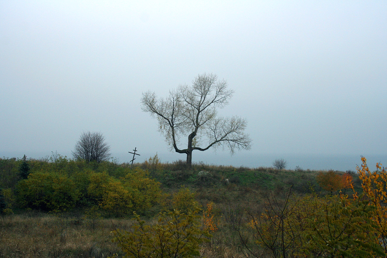 Трахтемиров, image of landscape/habitat.