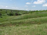 Image of landscape