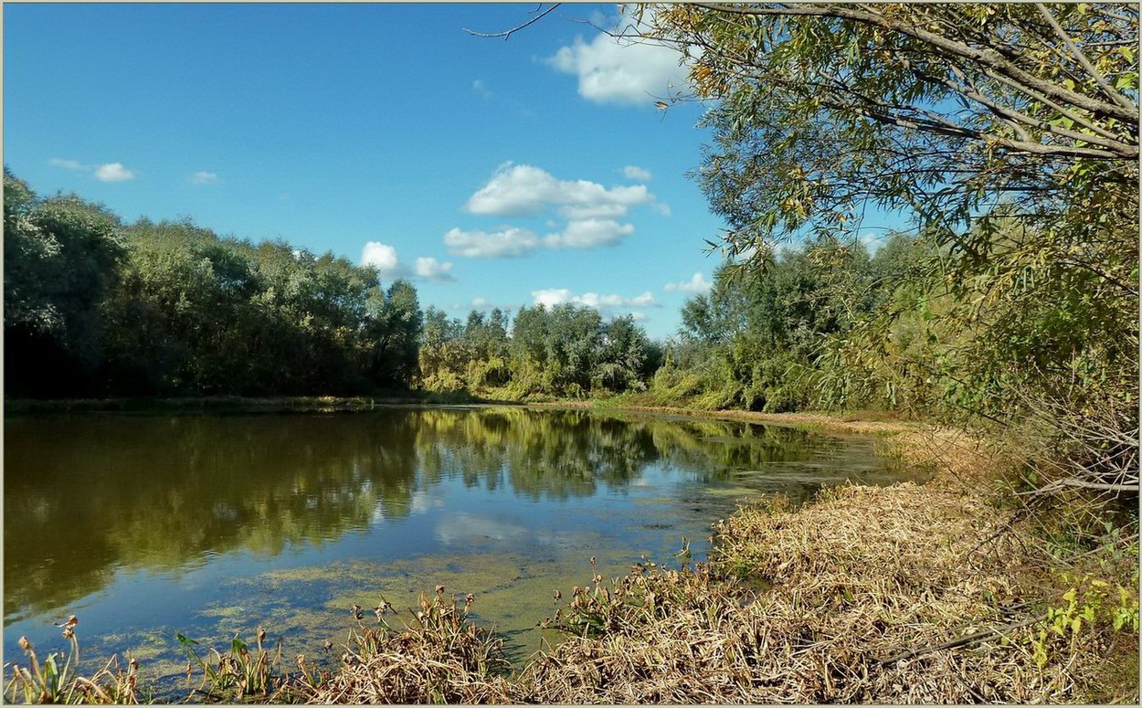 Сурский затон, image of landscape/habitat.