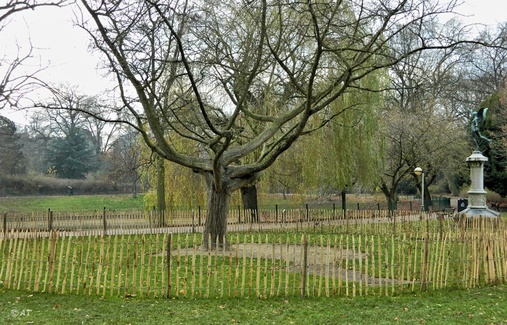 Антверпен, image of landscape/habitat.