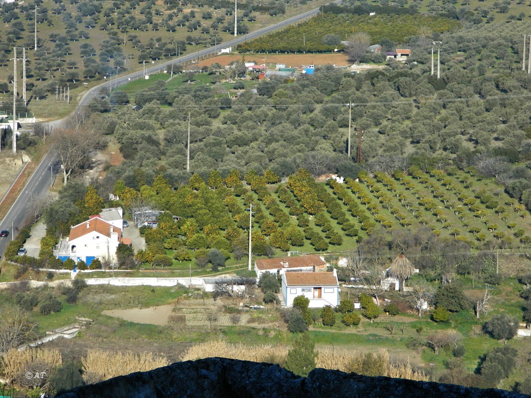 Elvas, image of landscape/habitat.