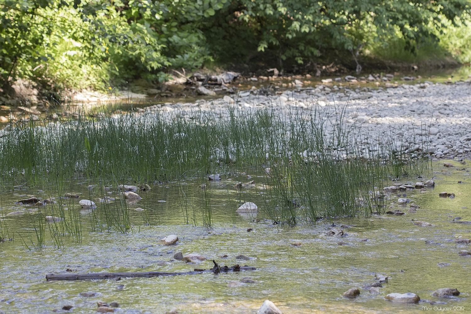 Куйбышево и окрестности, image of landscape/habitat.