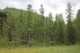 Image of landscape