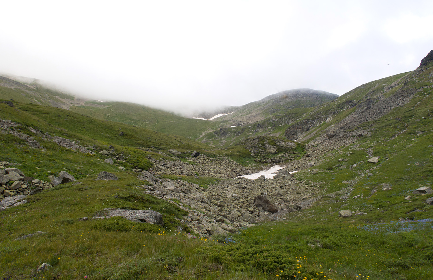 Долина Тихого ручья, image of landscape/habitat.