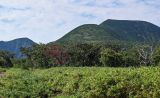 Image of landscape