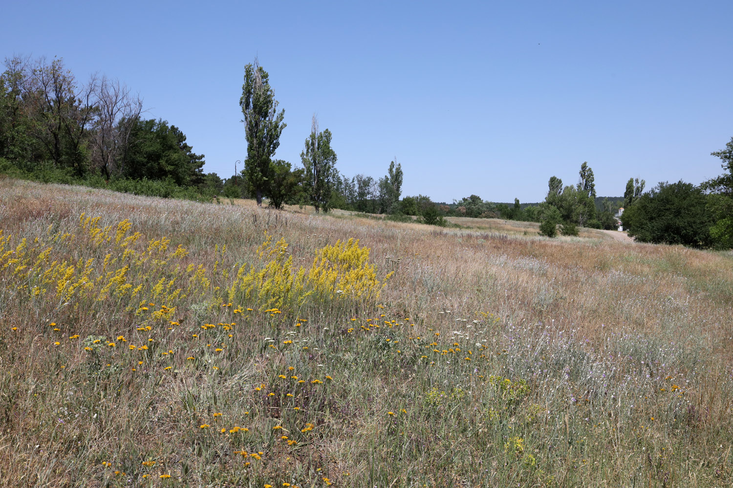 Симферопольское водохранилище, image of landscape/habitat.