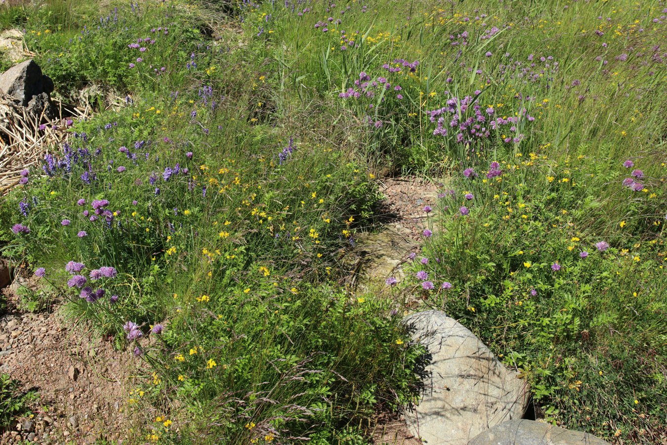 Каравалдай, изображение ландшафта.
