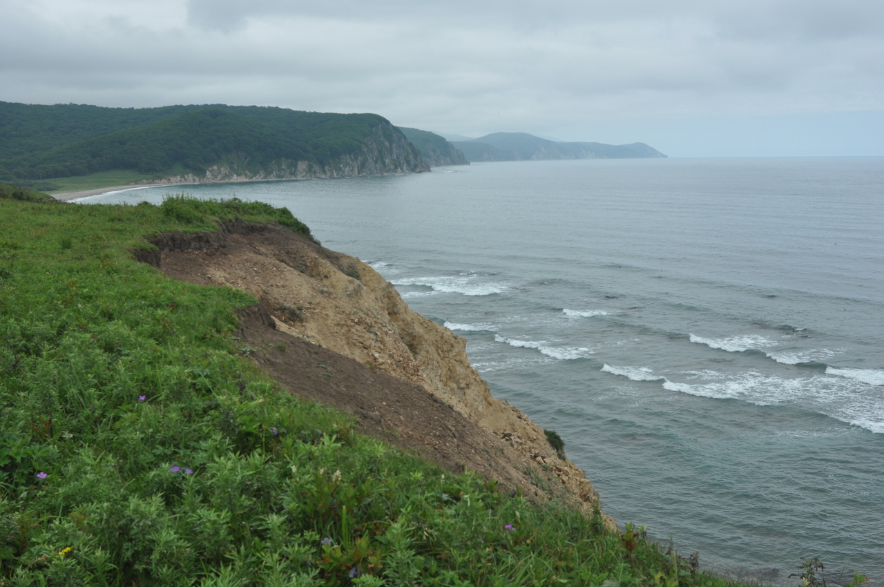 Бухта Русская, image of landscape/habitat.